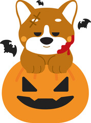 Dog Halloween costumes, Pet Halloween outfits