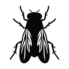 Fly insect vector silhouette