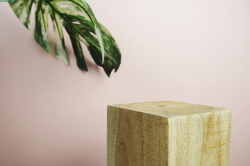 Wooden podium display scene stage showcase front view with copy space and monstera leaves decoration on pink background