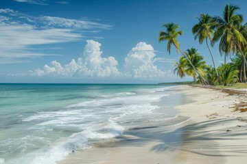 A scenic view of a deserted beach with palm trees and gentle waves