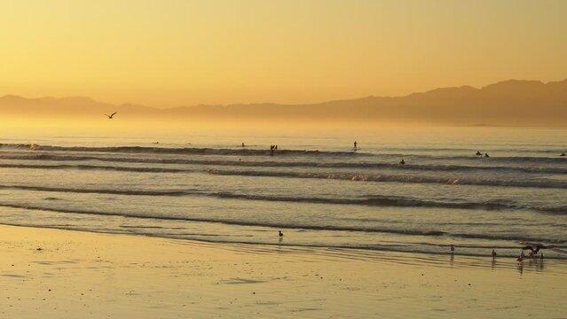 People Surfing during Golden Beach Sunrise - Wide Shot