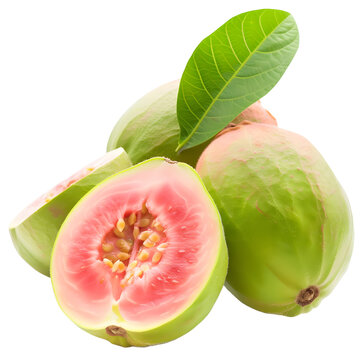 guava on transparent png background