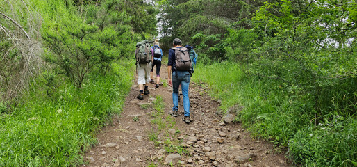 Back view of a group of four friends walking on a rough track through the French countryside; group...