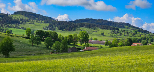 Idyllic view of French countryside with rolling hills, trees, meadows, and fields under a blue sky...