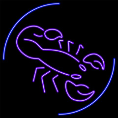 scorpion neon sign, modern glowing banner design, colorful modern design trend on black background. Vector illustration.