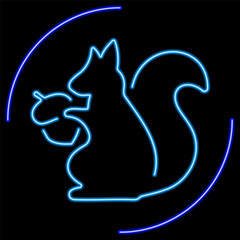 squirrel neon sign, modern glowing banner design, colorful modern design trend on black background. Vector illustration.