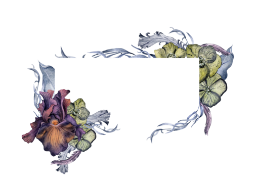 Gothic floral frame and feathers hand drawn. Watercolor purple Iris and hellebore flowers isolated on white. Dark botanical wedding decoration in vintage style. Element for invitation, backdrop, card