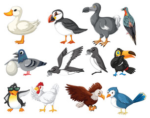 Vector illustrations of various cartoon birds