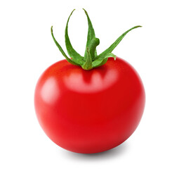 single fresh tomato isolated on white background. clipping path
