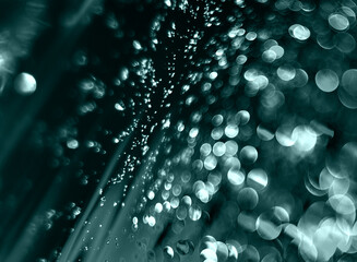 drops of water. bokeh background