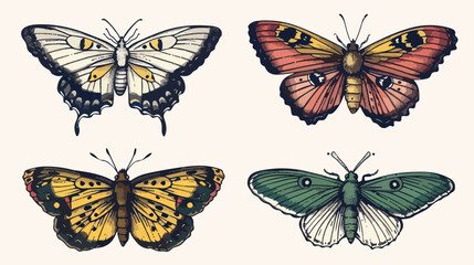 Realistic butterflies Four . Flying insects delicate