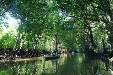 沖縄県西表島　マングローブのトンネルを抜けるカヤック