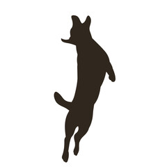 dog jumping silhouette on a white background vector