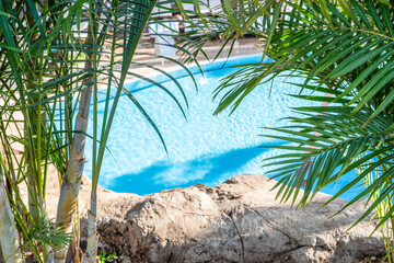 Serene poolside through lush palm fronds, showcasing tranquil, secluded tropical escape. Vibrant...