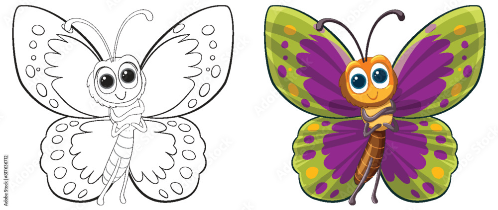 Canvas Prints Two stages of butterfly, sketch and colored