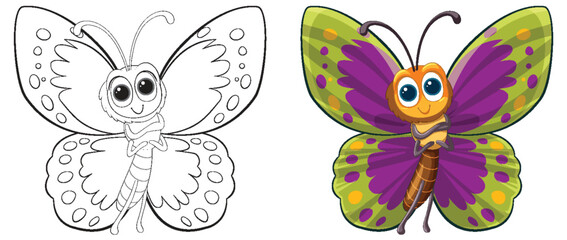 Two stages of butterfly, sketch and colored