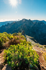 Hiking on the highest peak of Madeira Pico Ruivo next to the cottage Abrigo do Pico Ruivo. Views of...