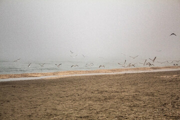 Europe, Romania, Constanta region, 2024 year - Sea, seashore 