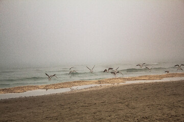 Europe, Romania, Constanta region, 2024 year - Sea, seashore 