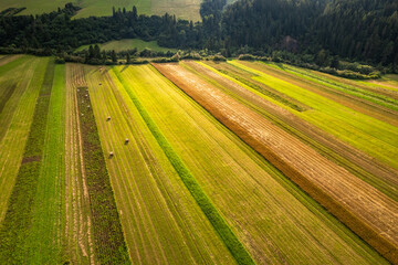 Countryside fields and scenic landscape in Podhale region of Poland. Aerial drone view.