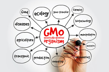 GMO - genetically modified organism mind map, concept for presentations and reports