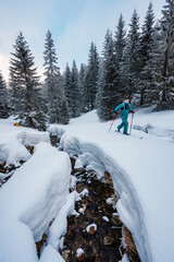 Mountaineer backcountry ski walking ski alpinist in the mountains. Ski touring in alpine landscape with snowy trees. Adventure winter sport. Low Tatras, slovakia