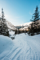 Alpine mountains landscape with white snow and blue sky. Frosty trees under warm sunlight. Wonderful wintry landscape High Tatras, slovakia