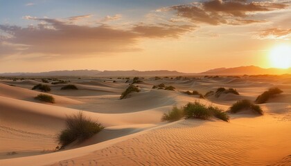 Sunset in the Desert
