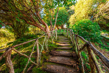 Traditional houses in Queimadas Forest Park near Santana, Madeira. Hiking point to PR9 Levada do Caldeirao Verde