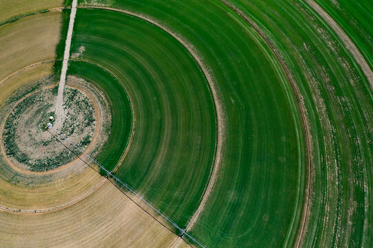 A center pivot irragation system creates circles seen from the s