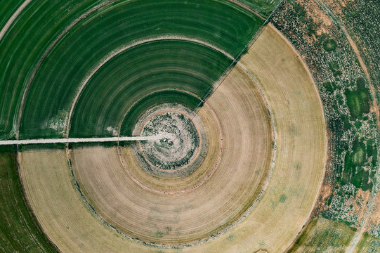 A center pivot irragation system creates circles seen from the s