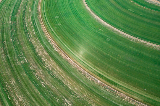 A center pivot irragation system creates circles seen from the s