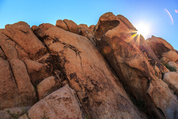 Sunrise on the Rock Formations of Joshua Tree on a Clear Summer Day, Joshua Tree National Park, California