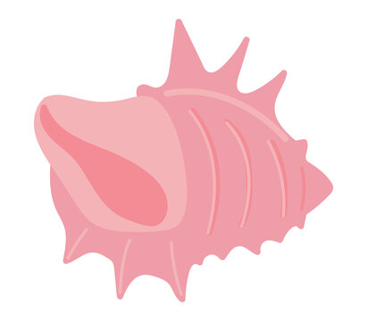 Tropical pink seashell in flat design. Spiked shell, beach cockleshell. Vector illustration isolated.