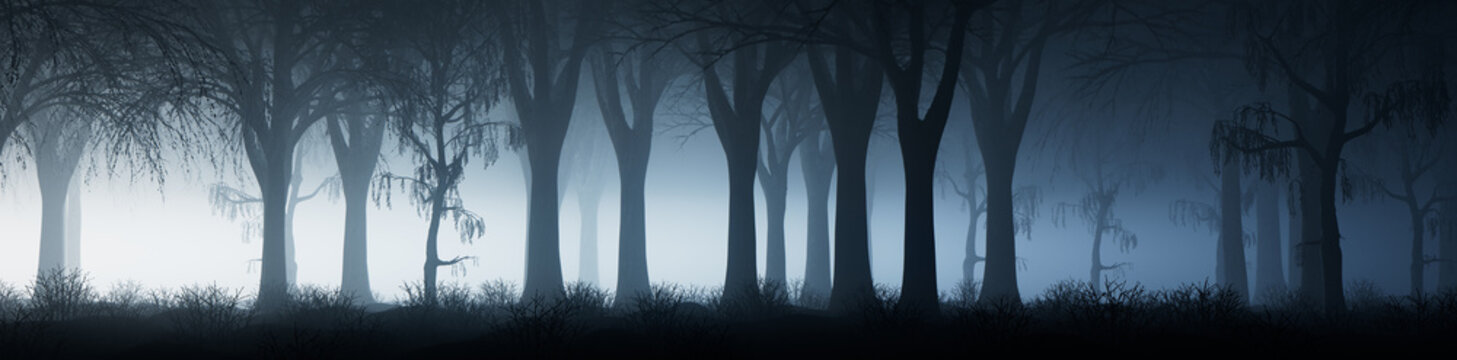 Dramatic Seasonal Background with Snow covered Tree Silhouettes in Fog. Blue Winter Woodland Banner.