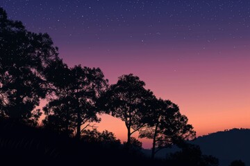 Starry Night Sky Over Silhouetted Trees