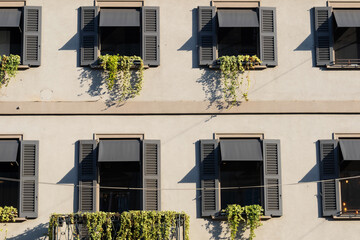 series of symmetrical windows with dark shutters, some adorned with green plants, on a smooth beige...