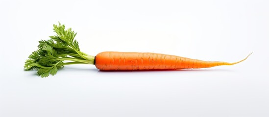 A crisp bright orange carrot is showcased on a pristine white surface creating a visually pleasing copy space image