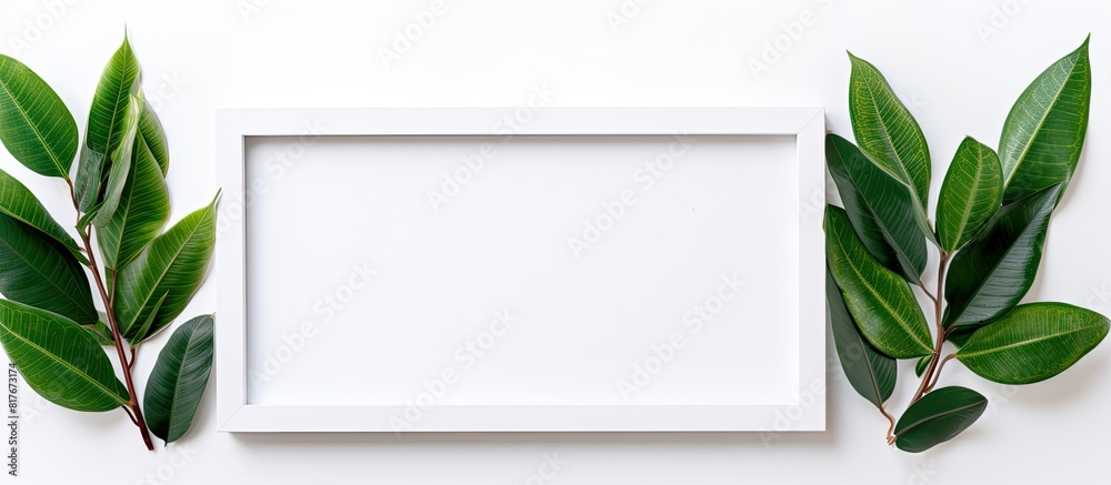 Sticker A copy space image of a white wooden photo frame with plant leaves resting on a pure white backdrop