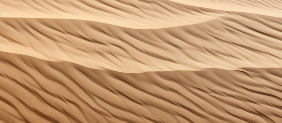 Fototapeta na wymiar Texture of sand Copy space image