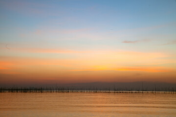 The sea in the evening with poles planted for shellfish farming