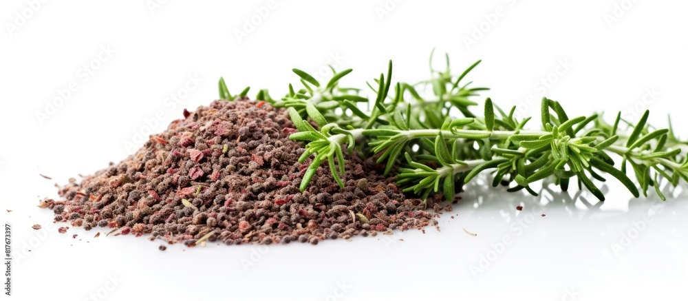 Poster A white background frames a solitary image of fresh thyme spice Ample space is provided for additional text