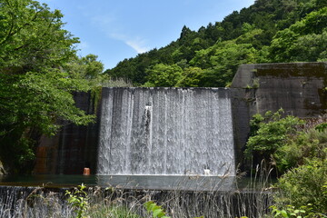 新緑の砂防堰堤