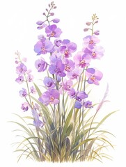 Naklejka premium Phalaenopsis, painted with watercolor paints, bright colors, children's book illustration, rough 2D animation, isolated on white background