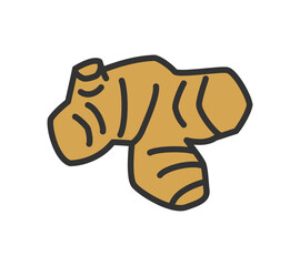 シンプルなショウガのイラスト