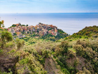 Naklejka premium Italia, Liguria, la bellissima costa delle Cinque Terre. Il paese di Corniglia.