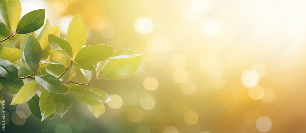 Poster A stunning bokeh background featuring abstract foliage and vibrant sunlight Perfect for a copy space image