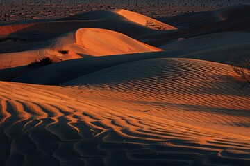 Golden Sand Dunes in Desert at Sunset