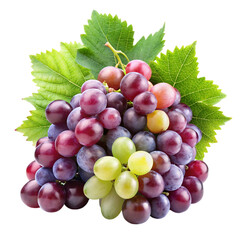 Fototapeta premium A bunch of grapes with leaves isolated on transparent background