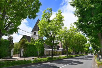 5月の京都市左京区松ケ崎 北山通の風景